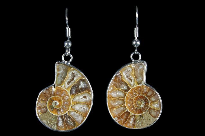 Fossil Ammonite Earrings - Million Years Old #152006